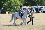 WJ6_7810