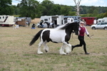 WJ6_5379