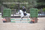 BPP_8861