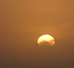 Golden Orb