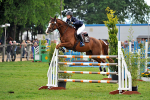 EQUISCOT 9267