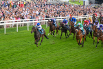 260724-Race 4-Dicko The Legend-5216