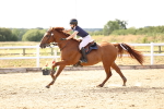 SBM_004667
