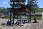 BPP_3270