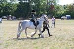 WJ6_7822