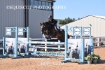 BPP_1210