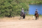 WJ6_7871