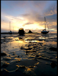 All in a row - Lindisfarne