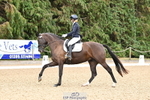 Class 3 Novice SILVER portfolio