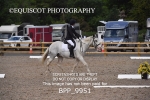 BPP_9951