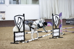 SBM_000982