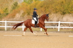 SBM_009333