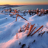 Ice sculptures 2