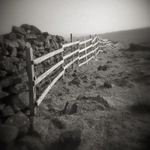 Fence Line, Burley Moor
