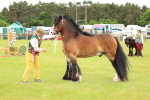 SBM_06314