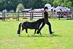 SBM_03425
