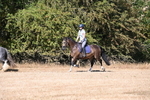 WJ6_7809