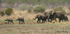 Family outing