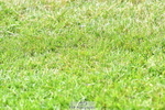 260630A-110413-05742