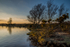 Whitten Pond Burley