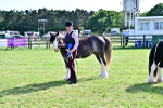 SBM_10056