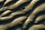 West Wittering - 22