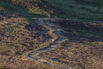 Lords Seat-17