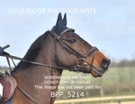 BPP_5214