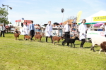 SBM_08309