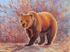 Brutus Bear