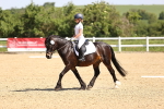 SBM_008235