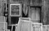 PELEE WINDOWS MONOCHROME