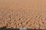 231015A-090350-06610