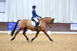 SBM_002164