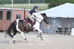 BPP_2366