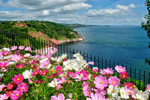 TQ185 - Beautiful flower beds on Babbacombe Downs