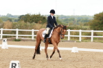 SBM_001453