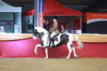 SBM_10597