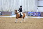SBM_001499