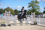 SBM_02419_J54 - Clear Round - 45cm