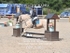 BPP_1462