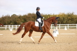 SBM_009616