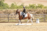 SBM_000795