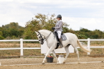 SBM_006561