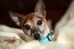 Archie 180223 329b
