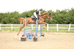SBM_006626