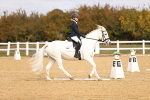 SBM_010265