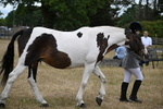 WJ6_8277