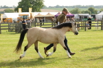 SBM_00554