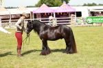 SBM_08590